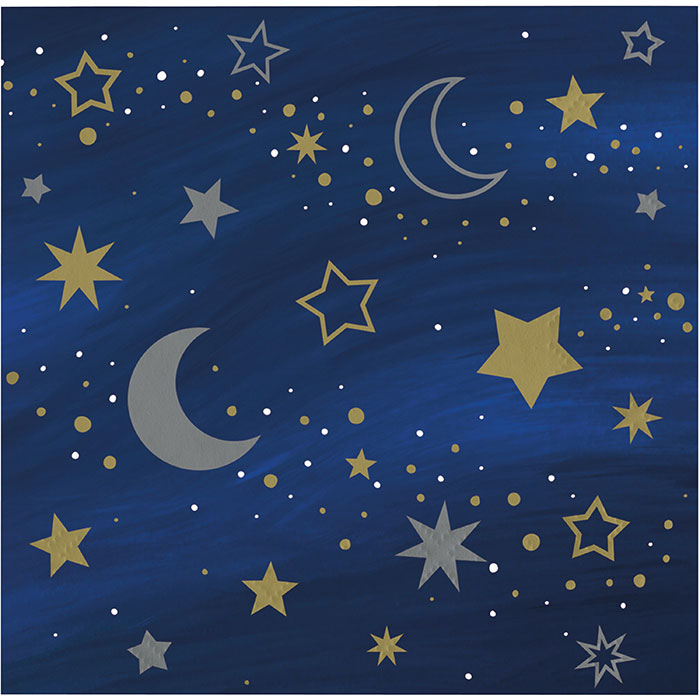 192 pc Bulk Starry Night Beverage Napkins