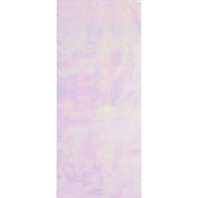 120 pc Bulk Iridescent Party Favor Bags