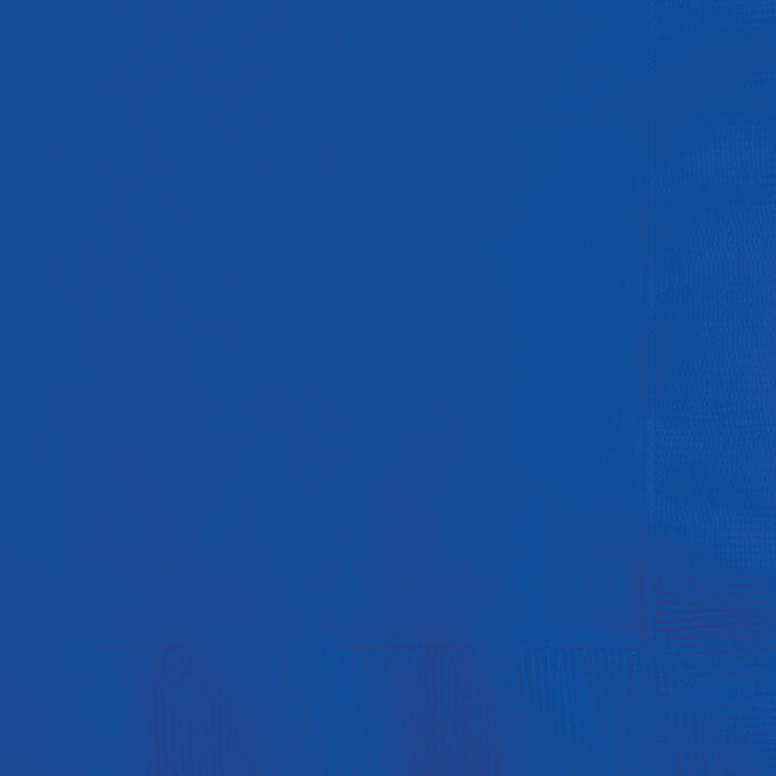 250 pc Bulk Cobalt Blue Dinner Napkins 3 Ply