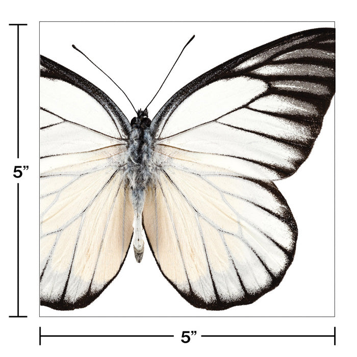 288ct Bulk Entomount Butterfly Beverage Napkins