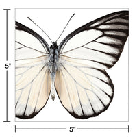 288ct Bulk Entomount Butterfly Beverage Napkins