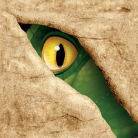 192 pc Bulk Dino Blast Beverage Napkins