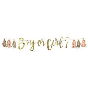 Pink, Blue, And Gold Boy Or Girl Tassel Banner (1/Pkg) by Creative Converting