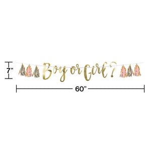 Pink, Blue, And Gold Boy Or Girl Tassel Banner (1/Pkg) by Creative Converting