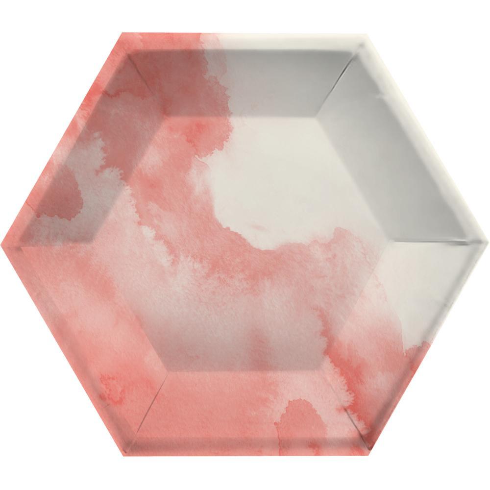 Watercolor Wash Pink Banquet Plate, 10" Hexagon, Pink, 8 ct Party Supplies by Creative Converting