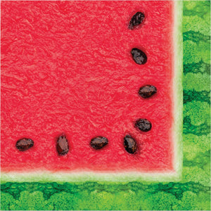 Watermelon Wow 2 Ply Luncheon Napkin (16/Pkg) by Creative Converting