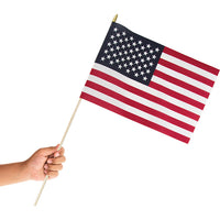 Cloth Usa Flag, 12